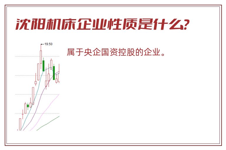 沈阳机床企业性质是什么？