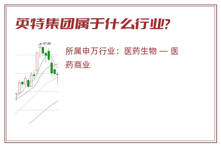 英特集团属于什么行业？