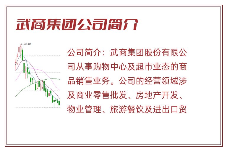 武商集团公司简介