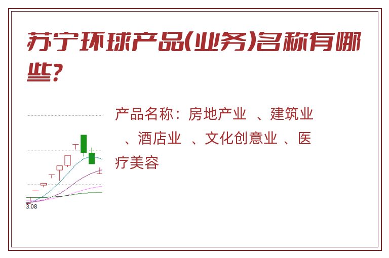 苏宁环球产品（业务）名称有哪些？