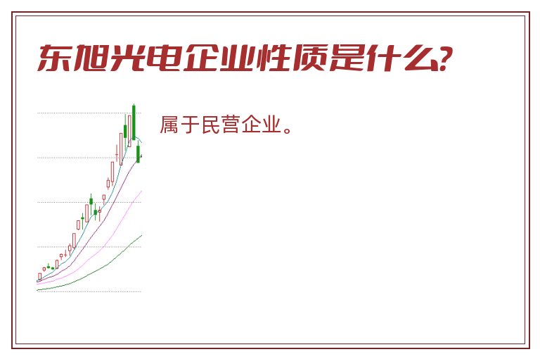 东旭光电企业性质是什么？