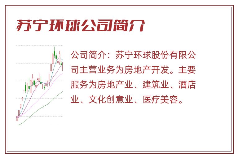 苏宁环球公司简介