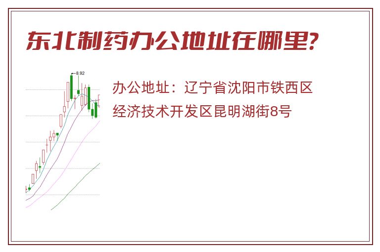 东北制药办公地址在哪里？