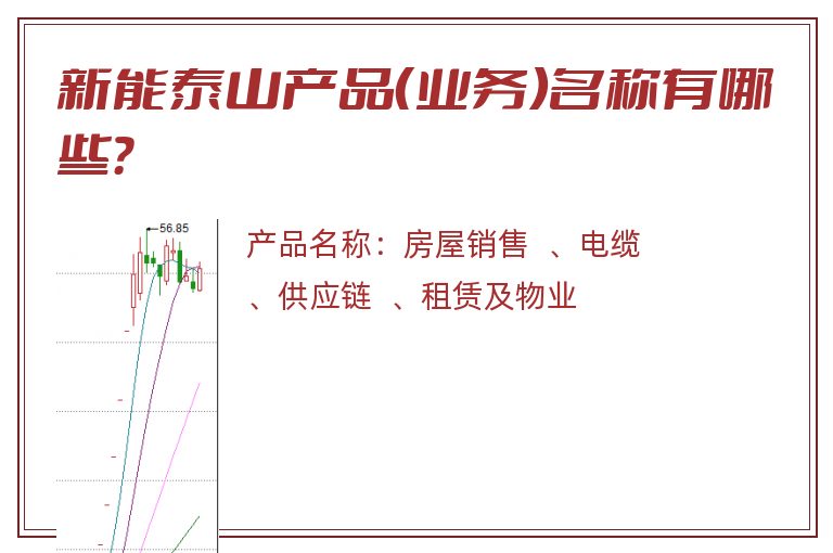 新能泰山产品（业务）名称有哪些？