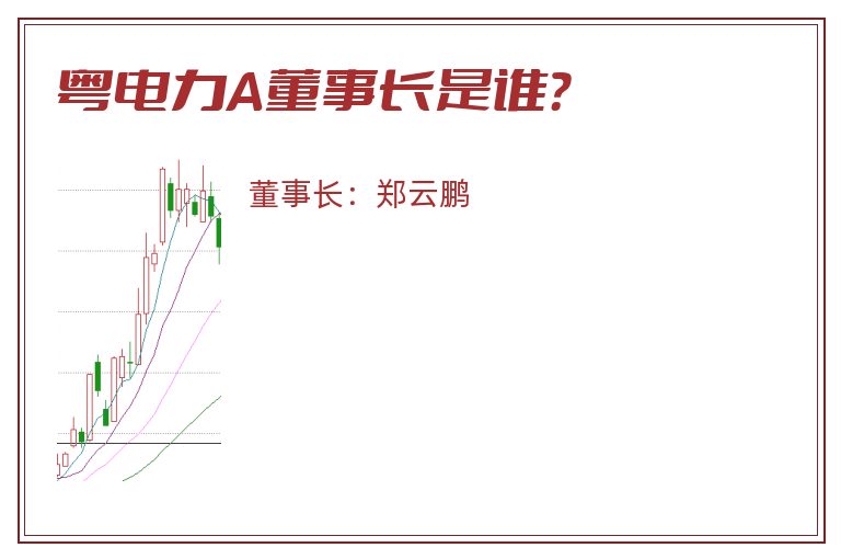 粤电力A董事长是谁？