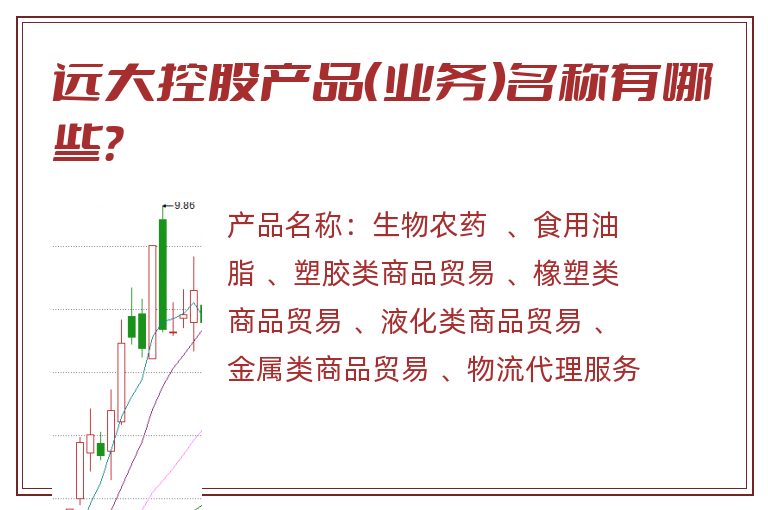远大控股产品（业务）名称有哪些？