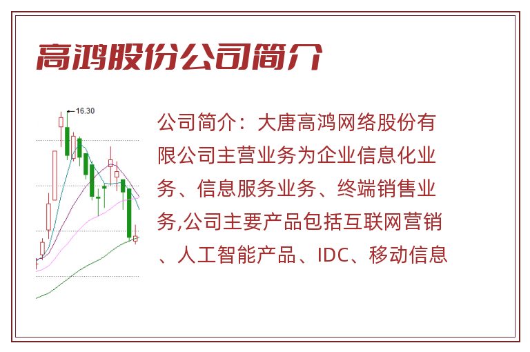 高鸿股份公司简介