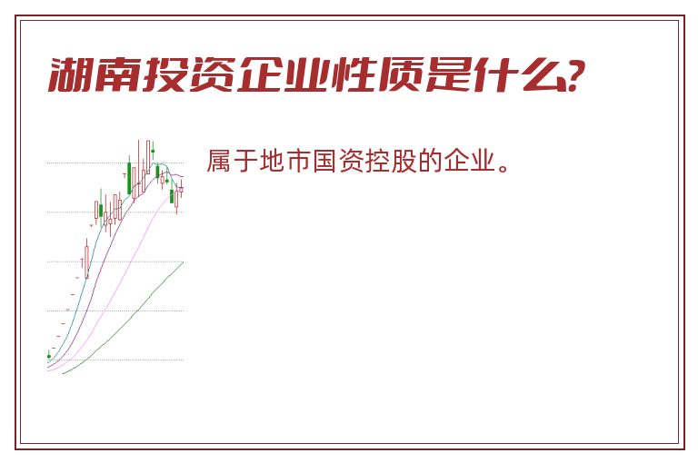 湖南投资企业性质是什么？