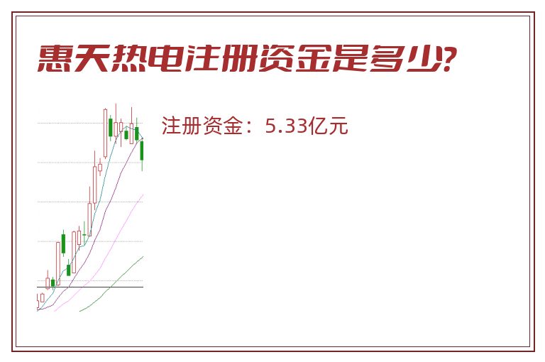 惠天热电注册资金是多少？