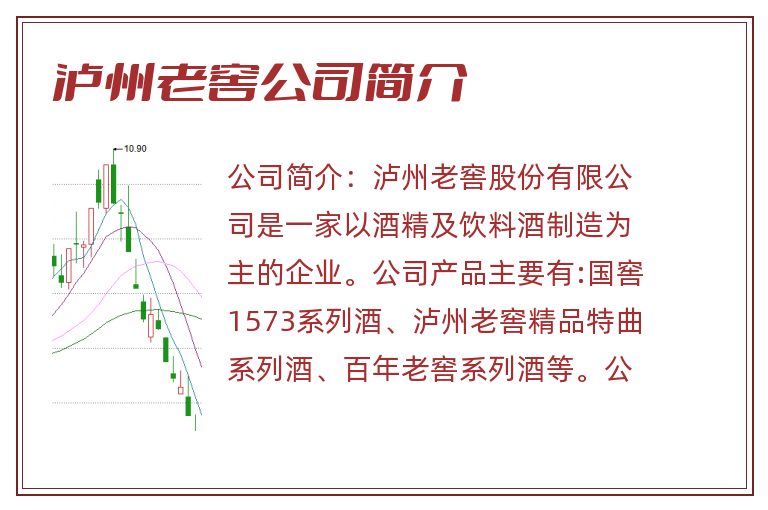 泸州老窖公司简介