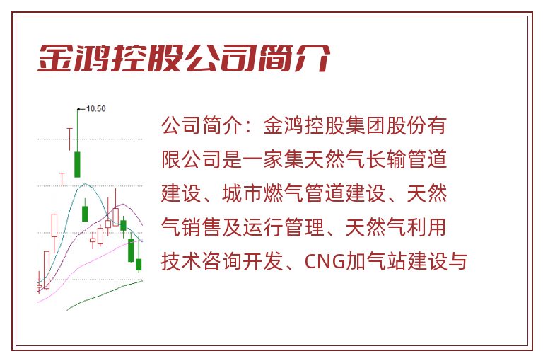 金鸿控股公司简介
