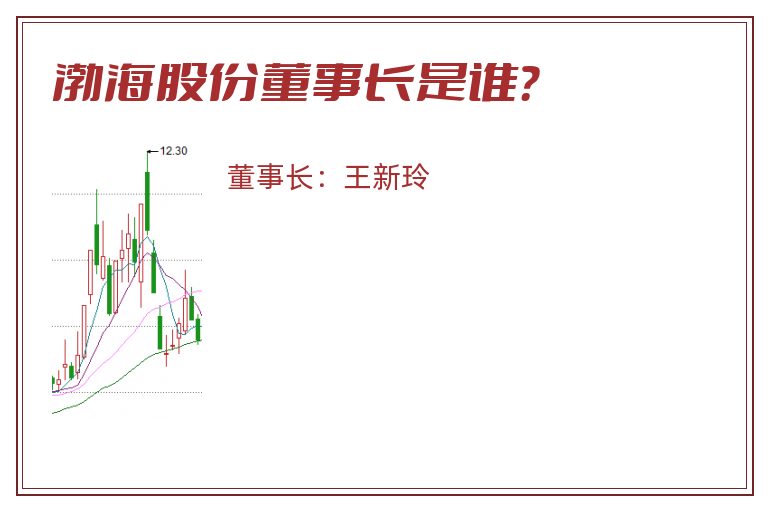 渤海股份董事长是谁？
