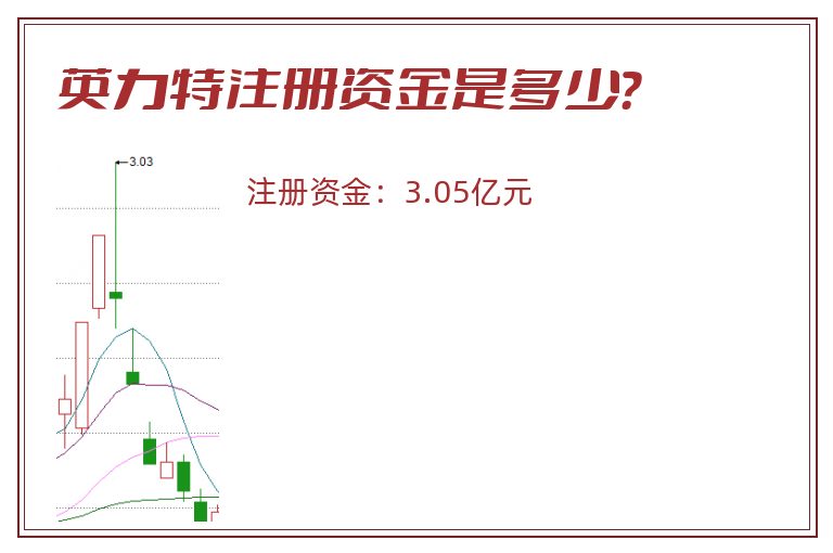 英力特注册资金是多少？
