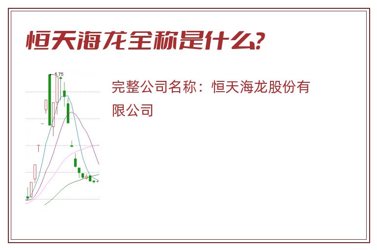 恒天海龙全称是什么？