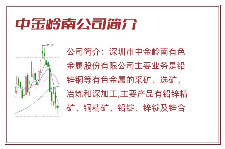 中金岭南公司简介