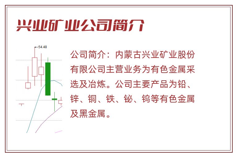 兴业矿业公司简介