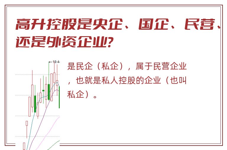 高升控股是央企、国企、民营、还是外资企业？