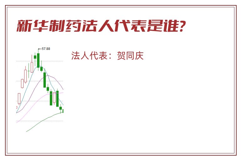 新华制药法人代表是谁?.jpg 新华制药.jpg