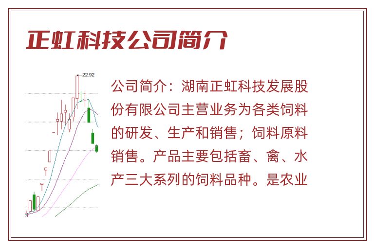 正虹科技公司简介