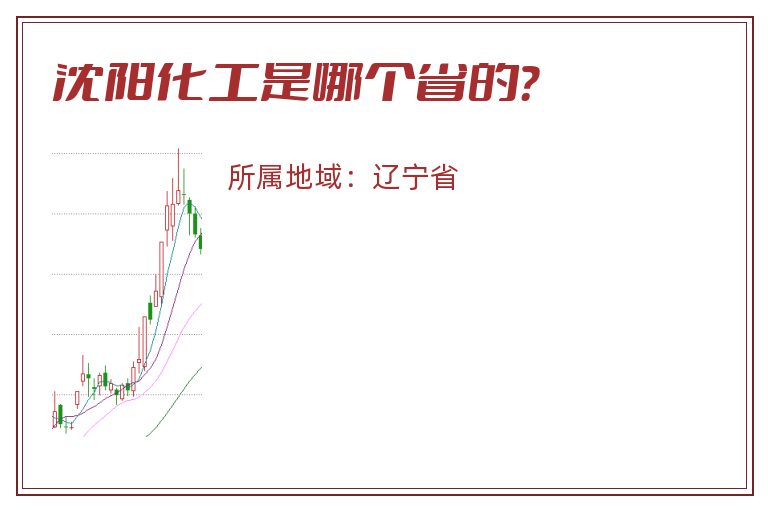 沈阳化工是哪个省的？