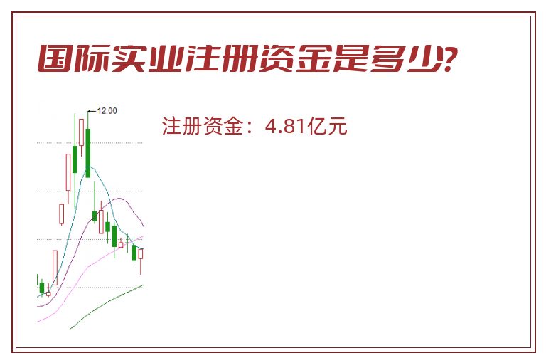 国际实业注册资金是多少？
