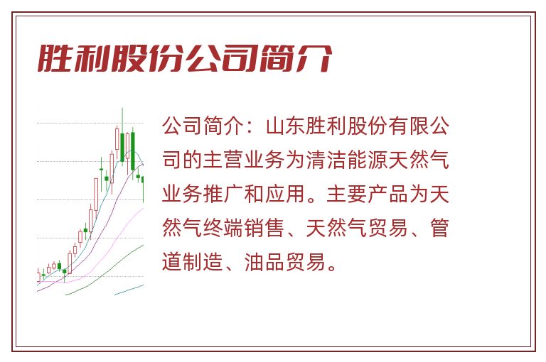 胜利股份公司简介