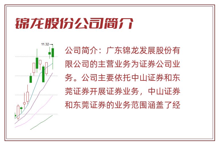 锦龙股份公司简介