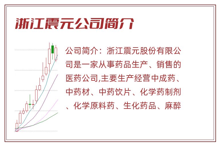 浙江震元公司简介