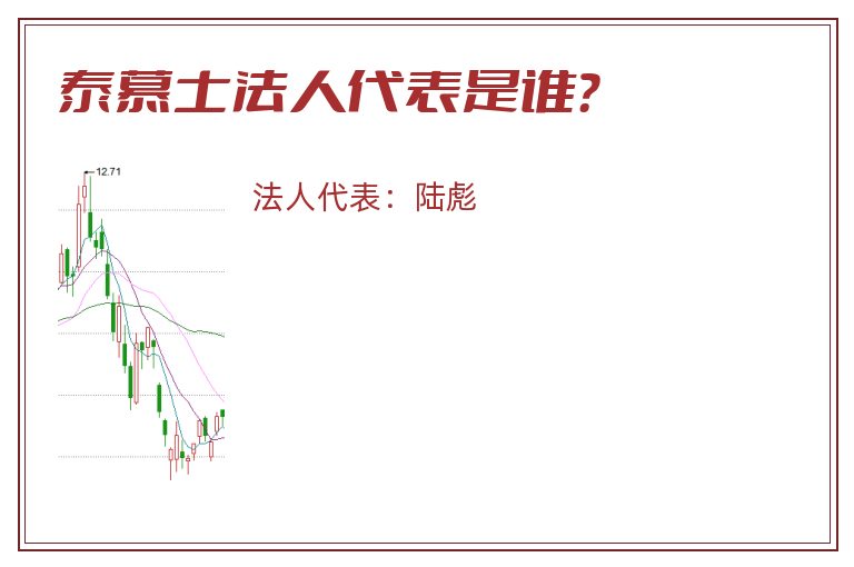 泰慕士法人代表是谁？
