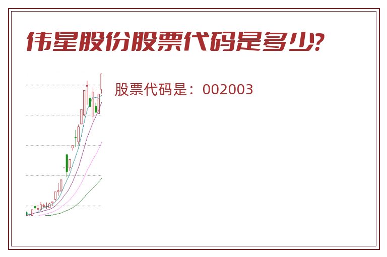 伟星股份股票代码是多少？