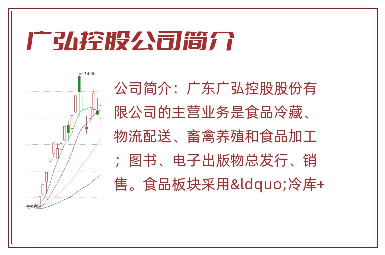 广弘控股公司简介
