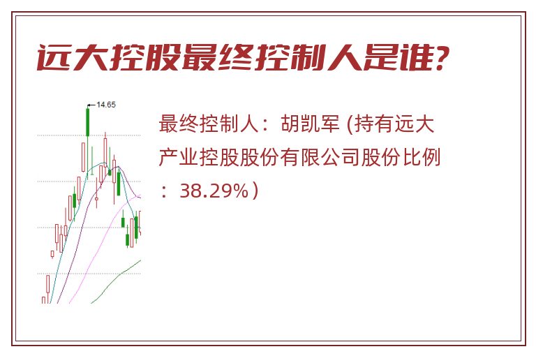 远大控股最终控制人是谁？