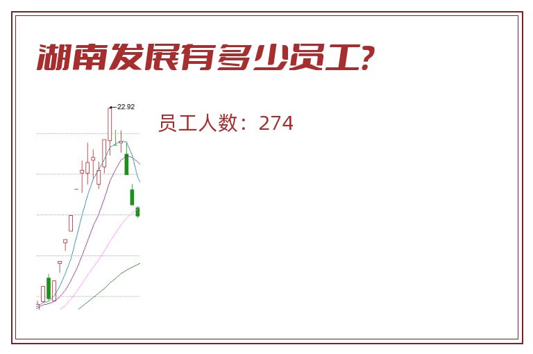 湖南发展有多少员工？
