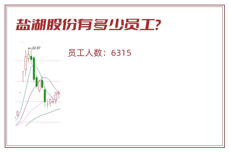 盐湖股份有多少员工?.jpg 盐湖股份.jpg