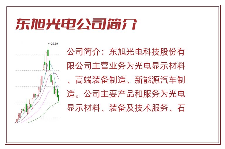 东旭光电公司简介