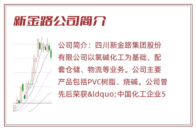 新金路公司简介