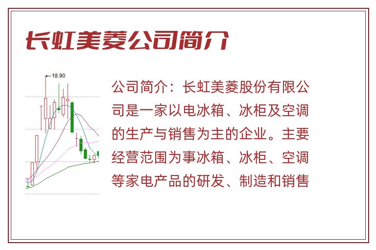 长虹美菱公司简介