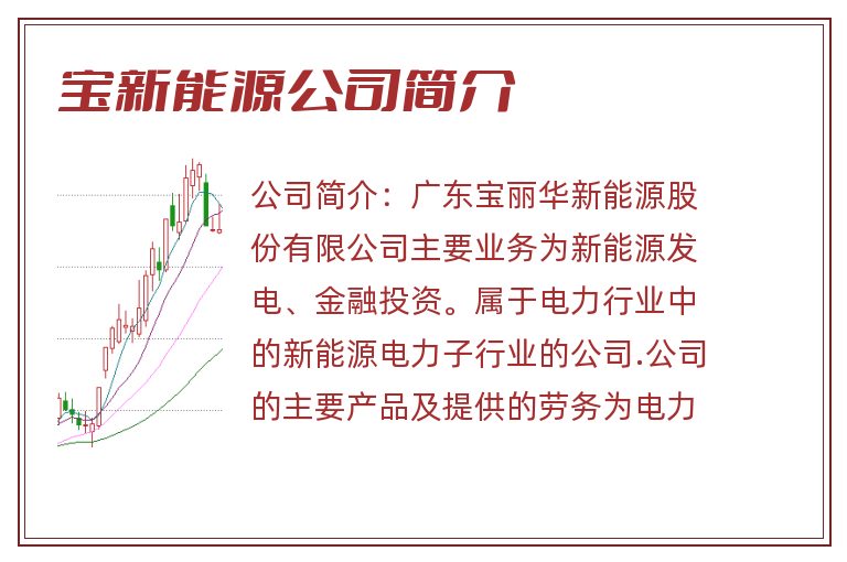 宝新能源公司简介