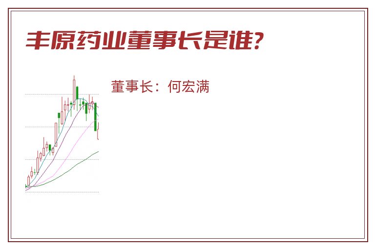 丰原药业董事长是谁？