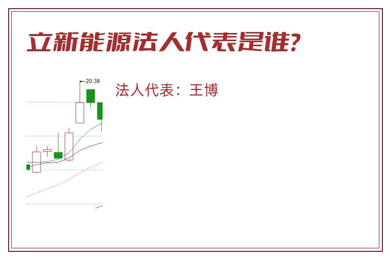 立新能源法人代表是谁？