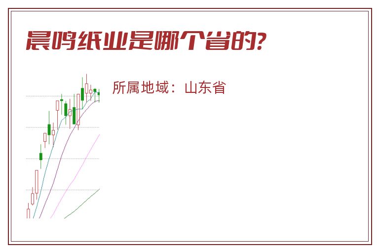 晨鸣纸业是哪个省的？