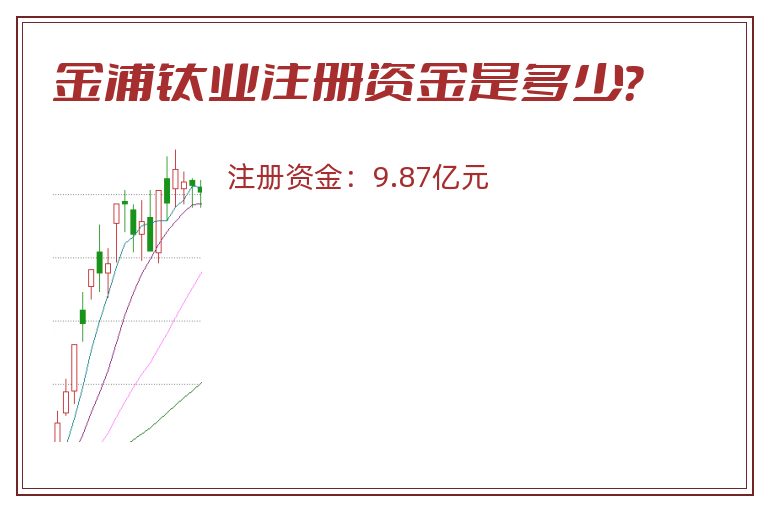 金浦钛业注册资金是多少？