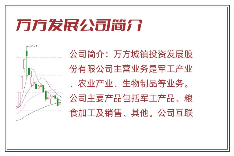 万方发展公司简介