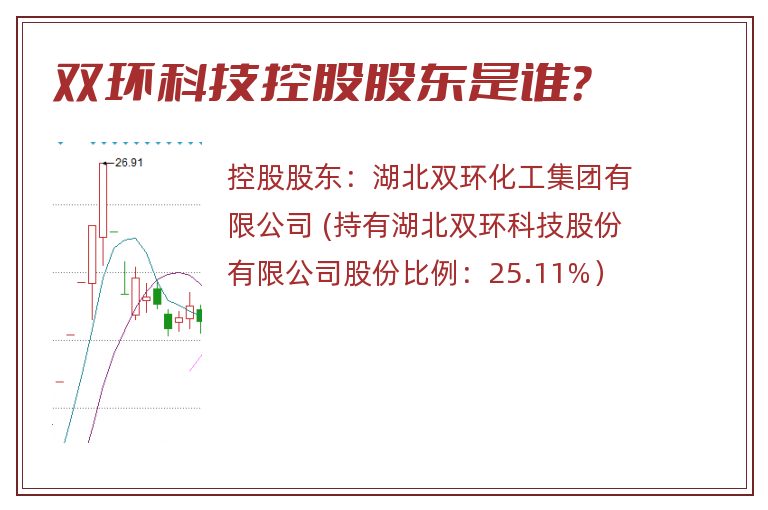 双环科技控股股东是谁？