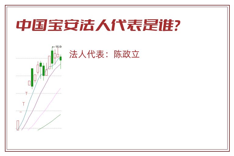 中国宝安法人代表是谁？