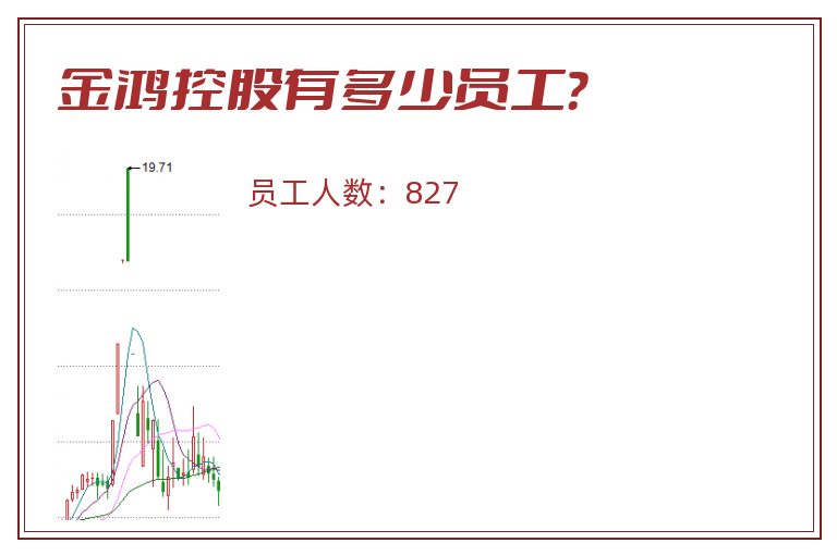 金鸿控股有多少员工?.jpg 金鸿控股.jpg