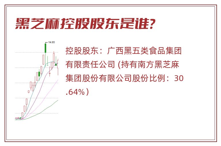黑芝麻控股股东是谁？