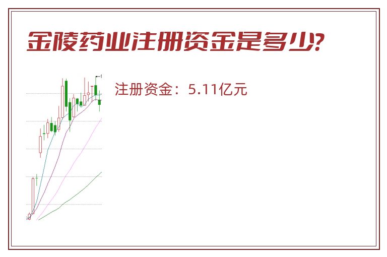 金陵药业注册资金是多少？