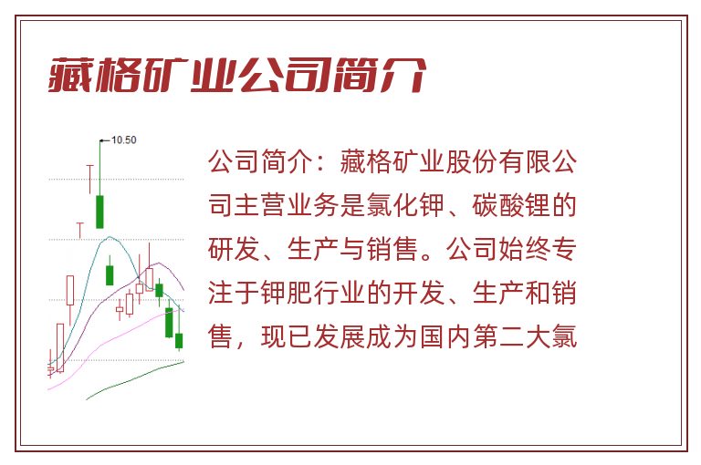 藏格矿业公司简介