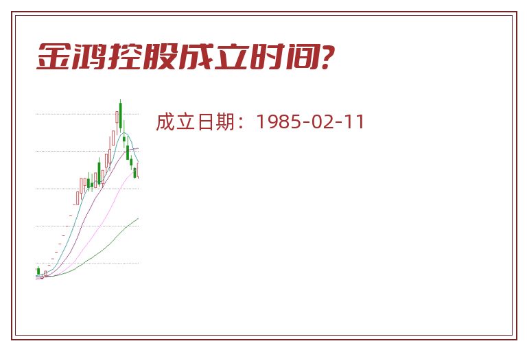 金鸿控股成立时间?.jpg 金鸿控股.jpg